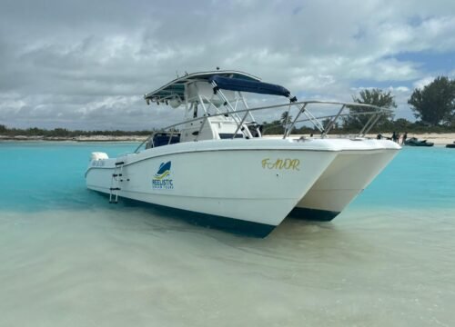 Coral Reef Snorkeling Tours