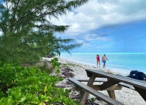Best Boat Tours Turks and Caicos