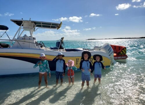 Beach Picnic Tours TCI