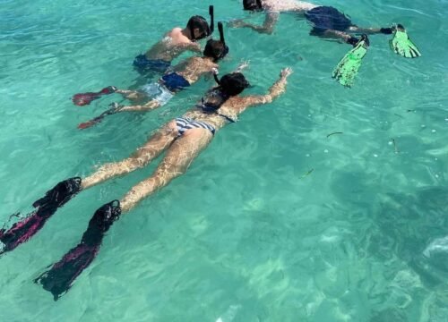 Dive into the Best Snorkeling Spots on Providenciales