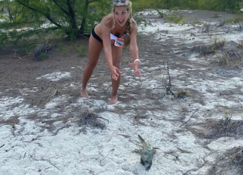 Fishing Excursions Turks and Caicos