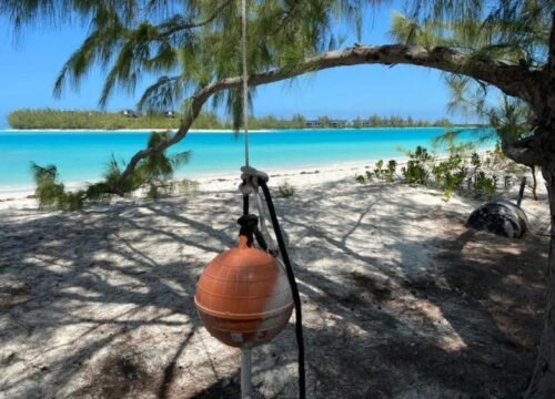 Turks and Caicos Snorkeling Tours