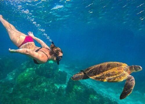 Boat Tours Providenciales